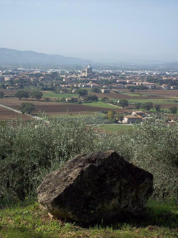 Casa Per Ferie Ulivo D'assisi Farm stay
