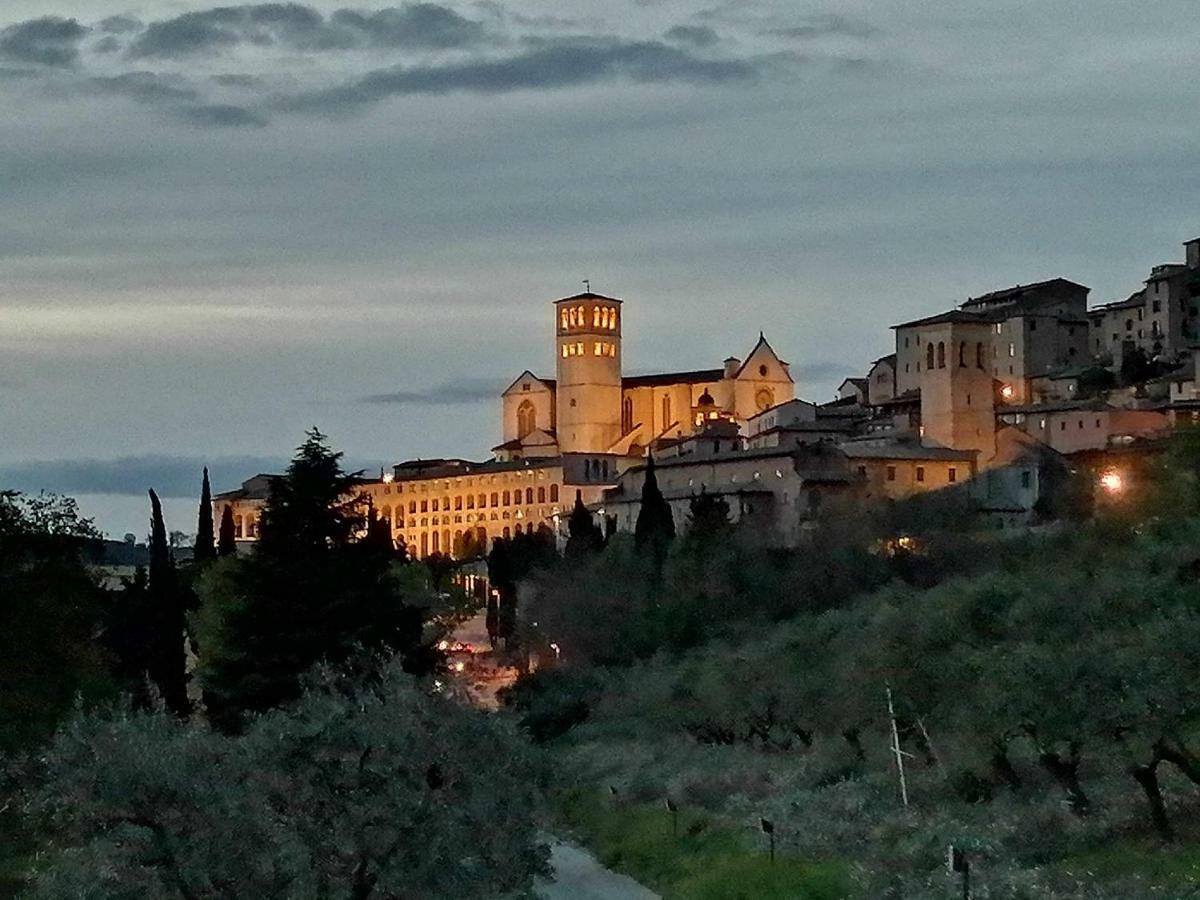 Casa Per Ferie Ulivo D'assisi * Assisi