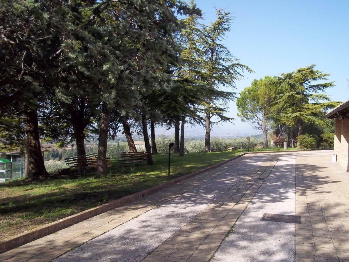 Farm stay Casa Per Ferie Ulivo D'assisi