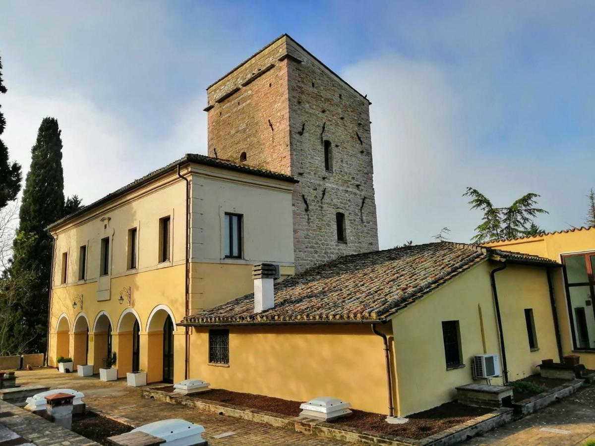 Casa Per Ferie Ulivo D'assisi Farm stay Assisi