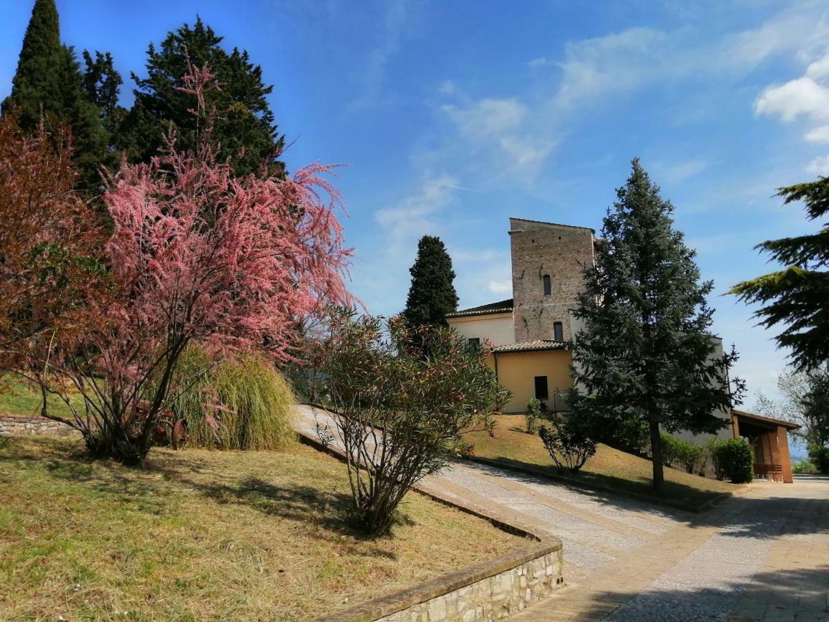 Casa Per Ferie Ulivo D'assisi