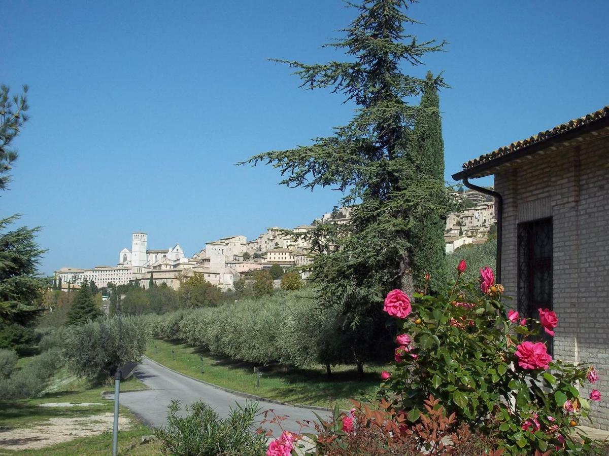 Casa Per Ferie Ulivo D'assisi Assisi