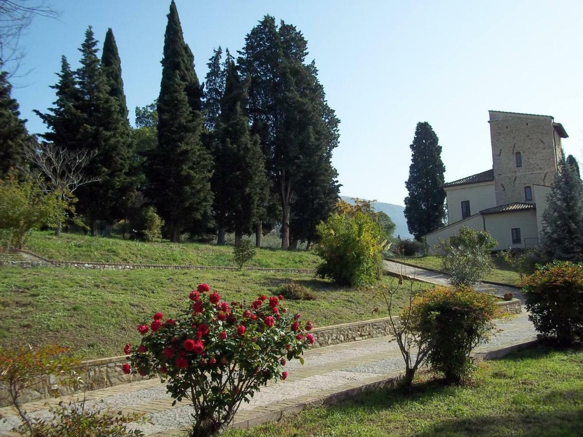 Casa Per Ferie Ulivo D'assisi Farm stay *